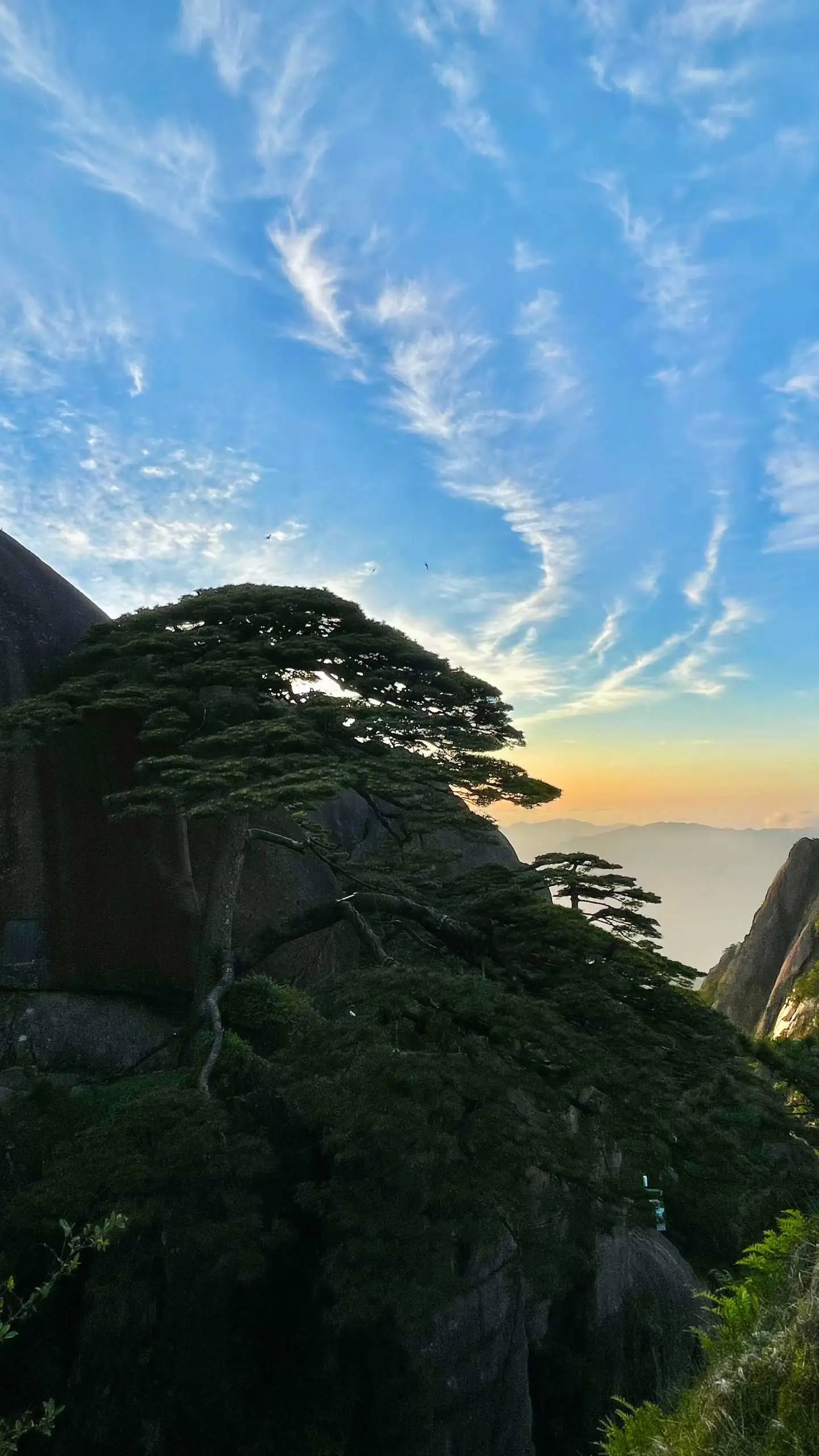 Company Team Explores Huangshan Scenery in Outdoor Hiking Activity