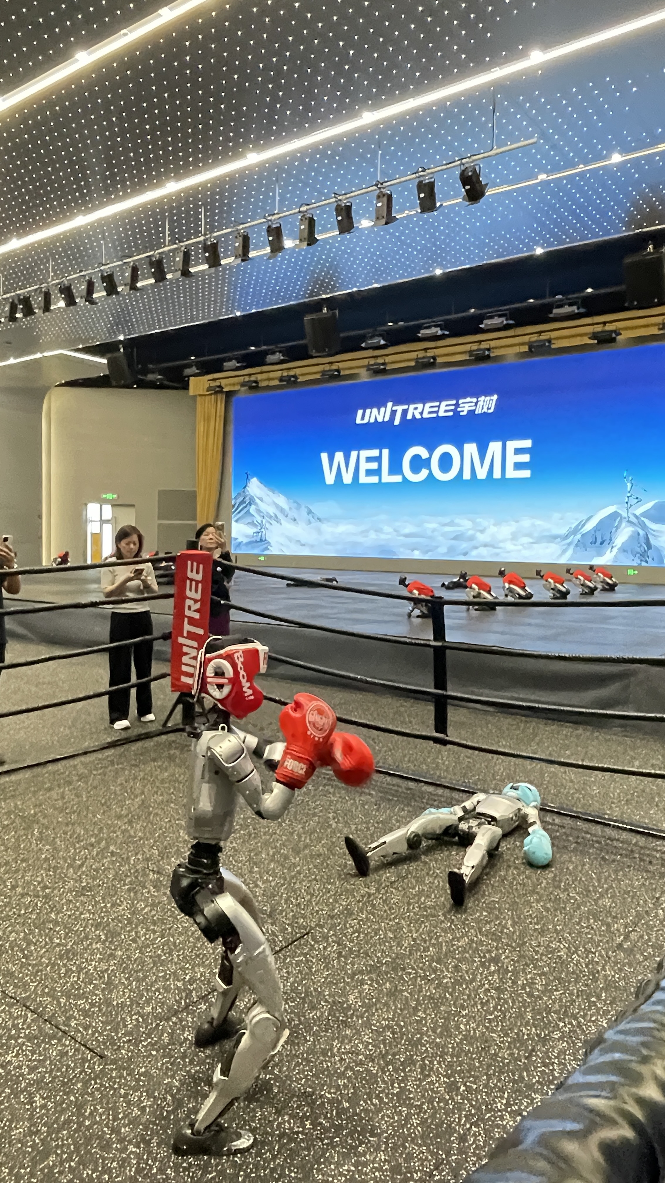 Humanoid robot boxing demonstration